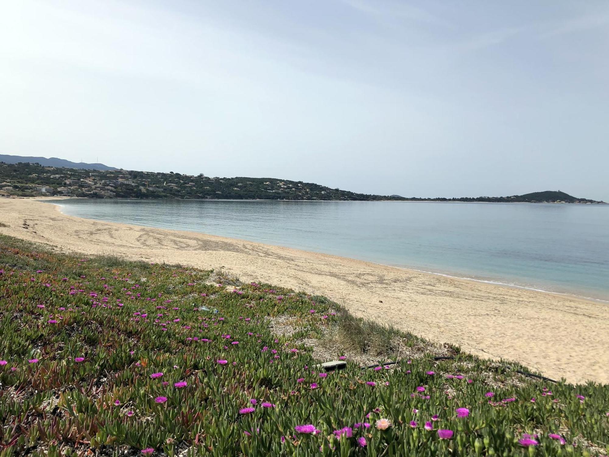 A Pineta Porticcio (Corsica)