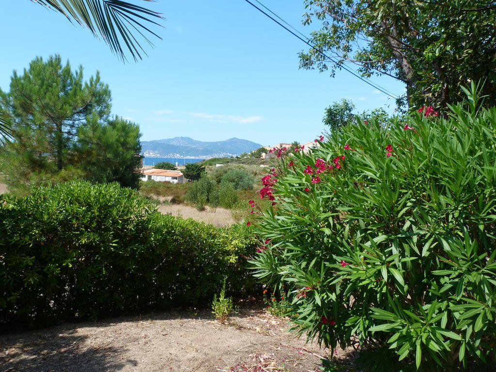 A Pineta